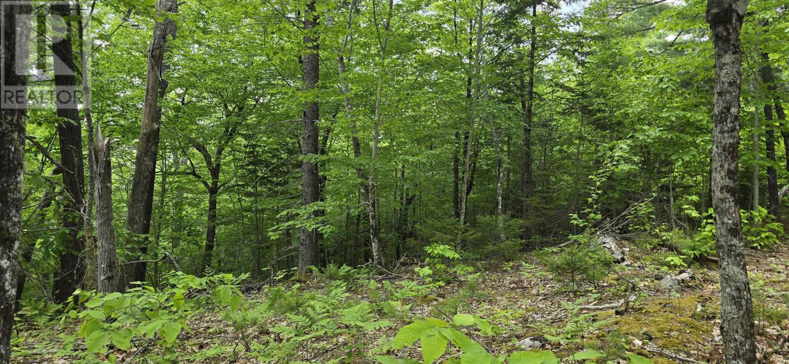 Lot 24-1 East Clifford Road, East Clifford, Nova Scotia  B4V 7R8 - Photo 12 - 202513794