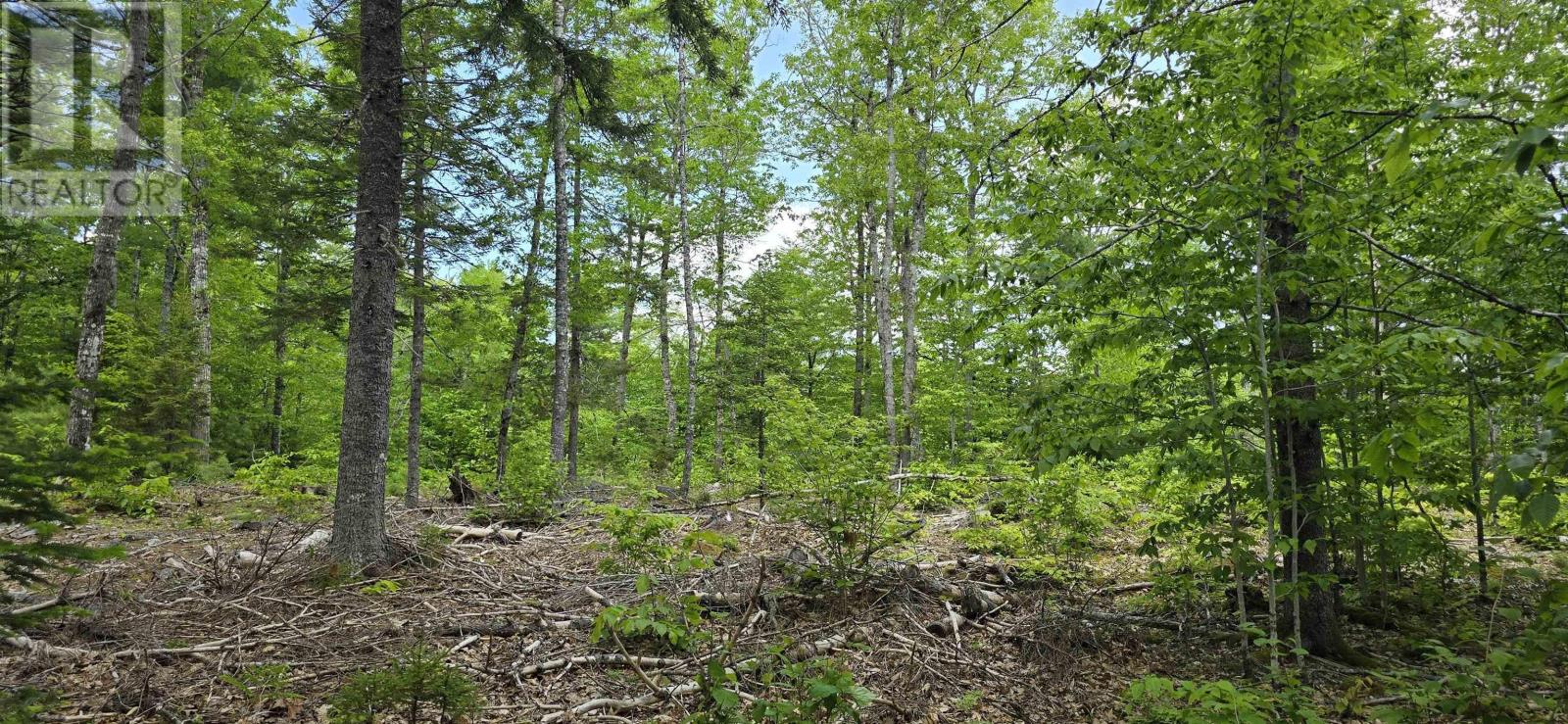 Lot 24-1 East Clifford Road, East Clifford, Nova Scotia  B4V 7R8 - Photo 15 - 202513794