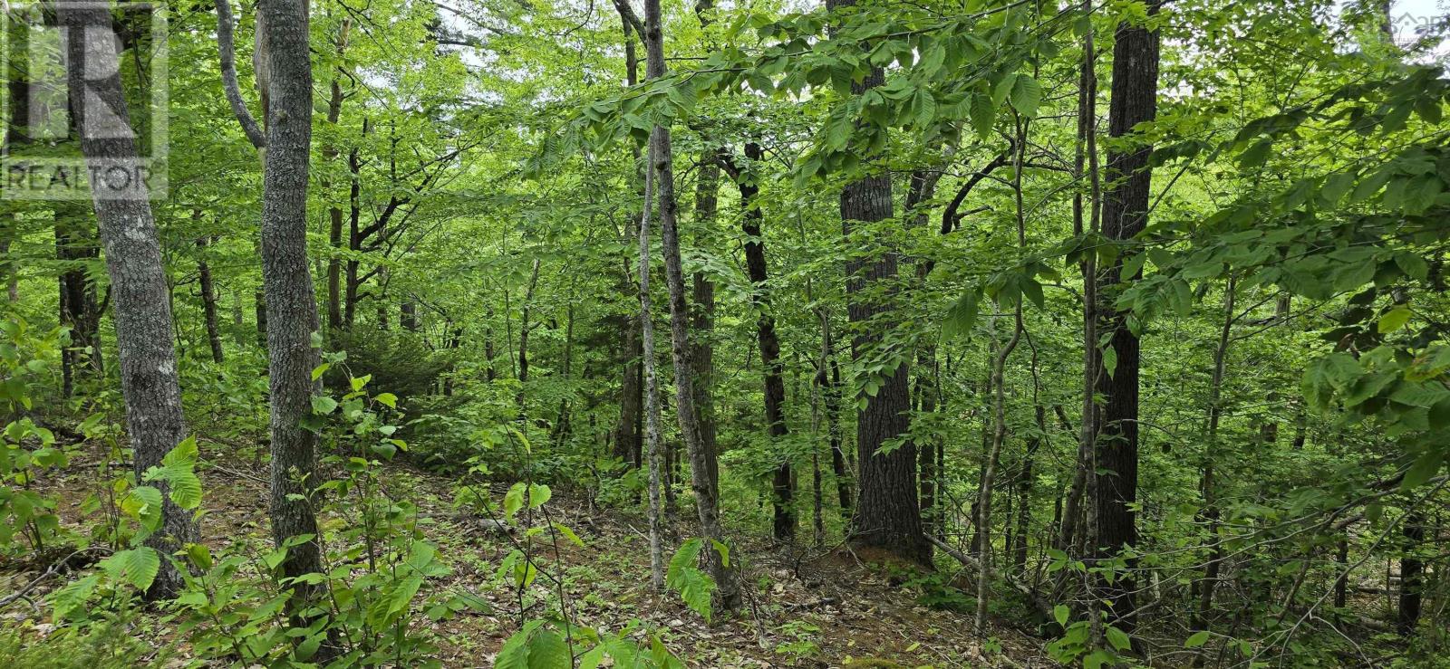 Lot 24-1 East Clifford Road, East Clifford, Nova Scotia  B4V 7R8 - Photo 18 - 202513794