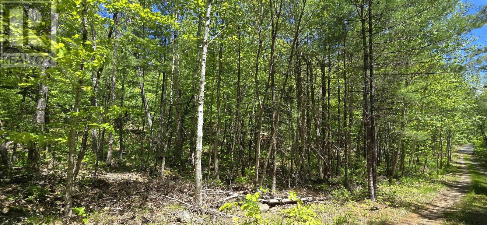 Lot 24-1 East Clifford Road, East Clifford, Nova Scotia  B4V 7R8 - Photo 22 - 202513794