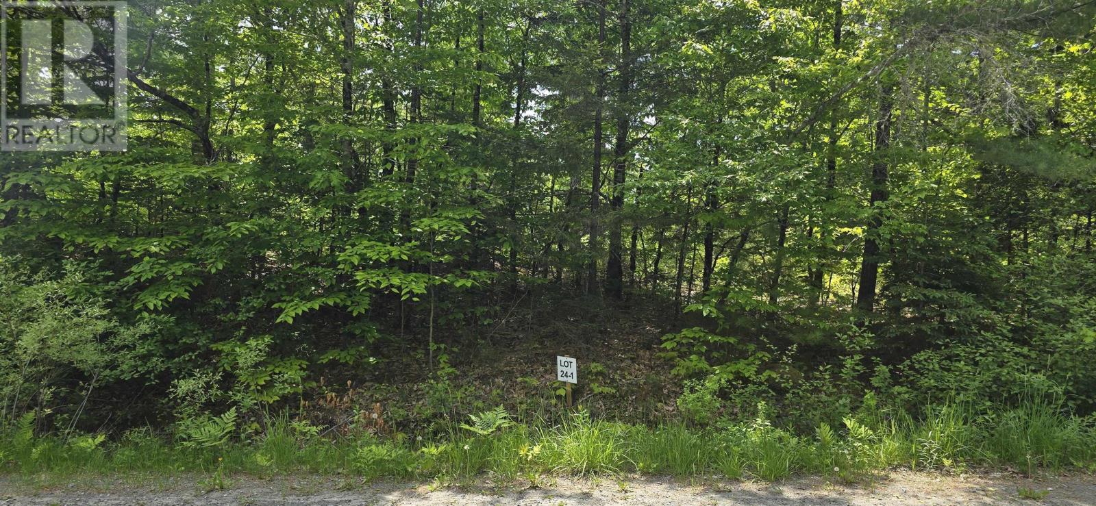 Lot 24-1 East Clifford Road, East Clifford, Nova Scotia  B4V 7R8 - Photo 3 - 202513794