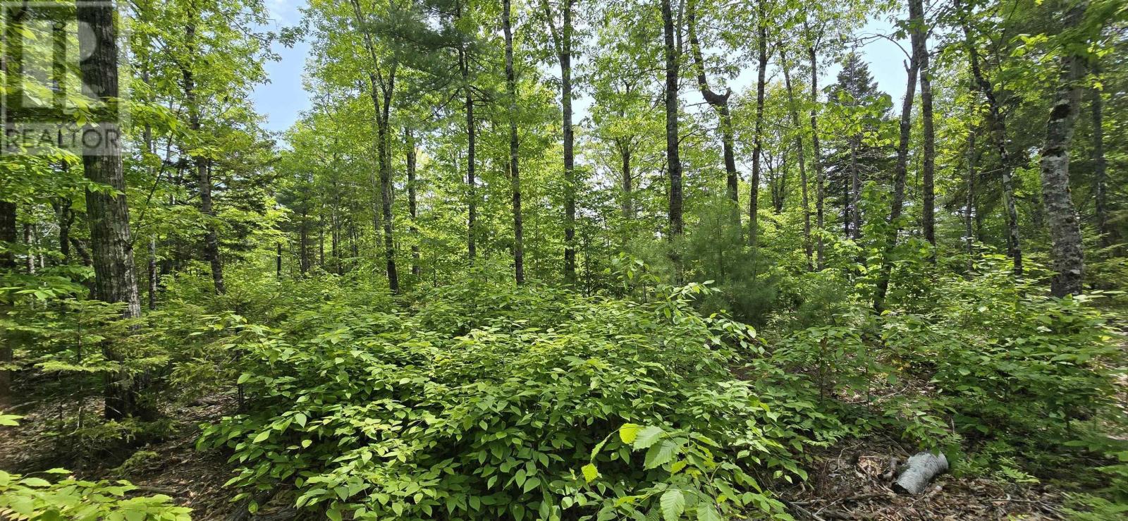 Lot 24-1 East Clifford Road, East Clifford, Nova Scotia  B4V 7R8 - Photo 7 - 202513794