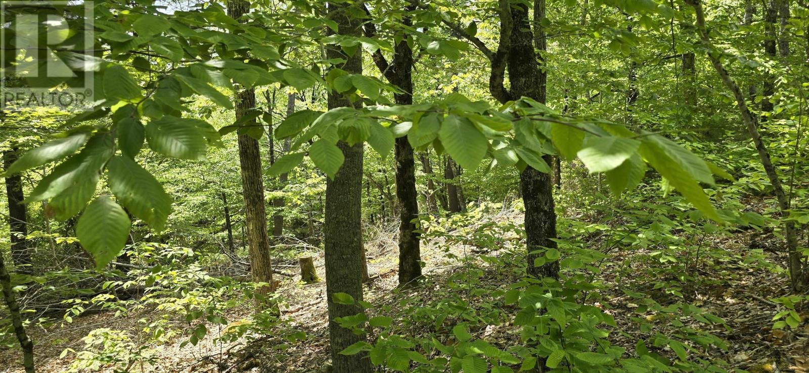 Lot 24-2 East Clifford Road, East Clifford, Nova Scotia  B4V 7R8 - Photo 4 - 202513797