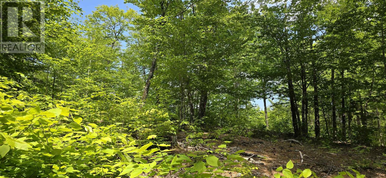 Lot 24-2 East Clifford Road, East Clifford, Nova Scotia  B4V 7R8 - Photo 7 - 202513797