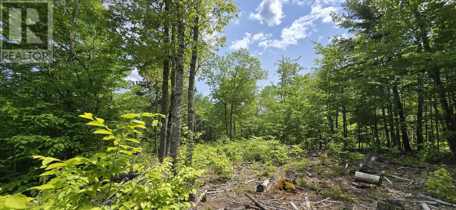 Lot 24-3 East Clifford Road, East Clifford, Nova Scotia  B4V 7R8 - Photo 11 - 202513798