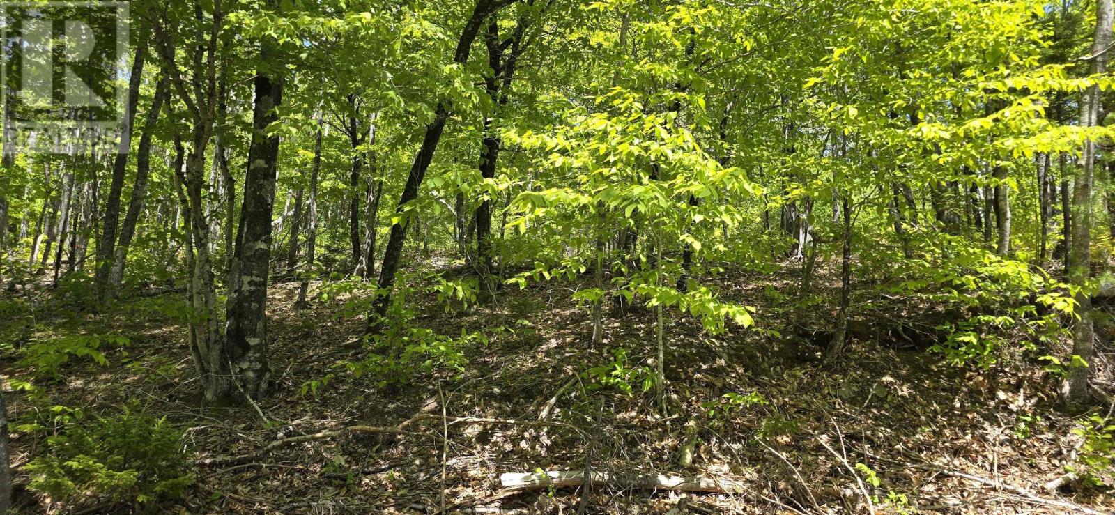 Lot 24-3 East Clifford Road, East Clifford, Nova Scotia  B4V 7R8 - Photo 27 - 202513798