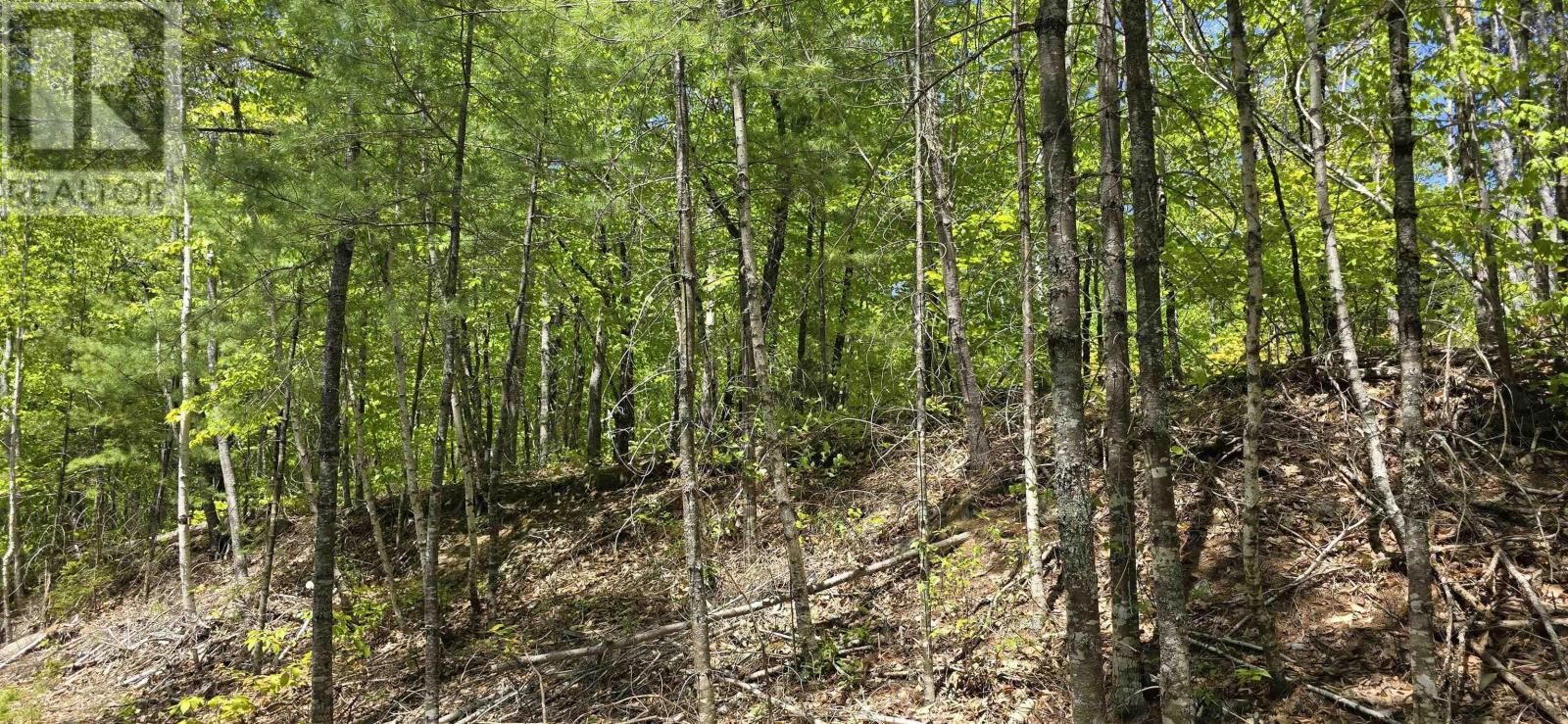 Lot 24-3 East Clifford Road, East Clifford, Nova Scotia  B4V 7R8 - Photo 33 - 202513798