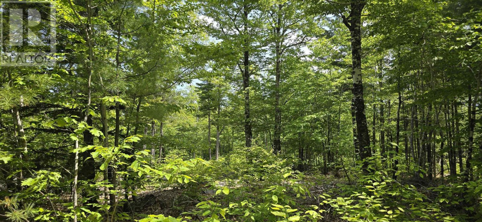 Lot 24-3 East Clifford Road, East Clifford, Nova Scotia  B4V 7R8 - Photo 5 - 202513798