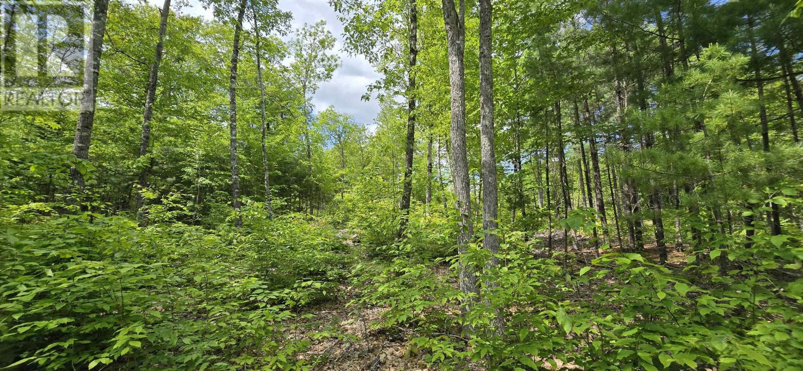 Lot 24-4 East Clifford Road, East Clifford, Nova Scotia  B4V 7R8 - Photo 14 - 202513799