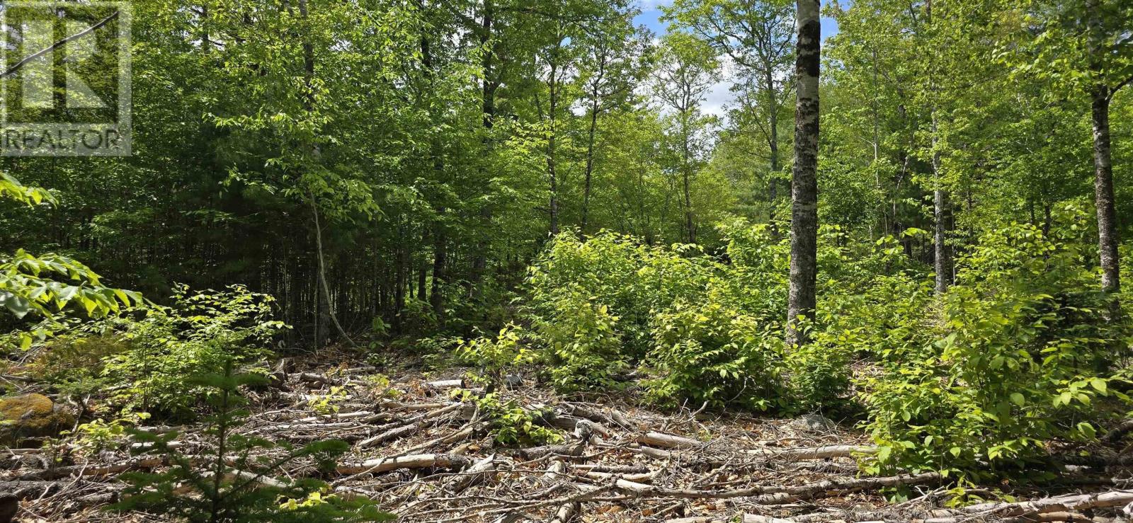 Lot 24-4 East Clifford Road, East Clifford, Nova Scotia  B4V 7R8 - Photo 15 - 202513799