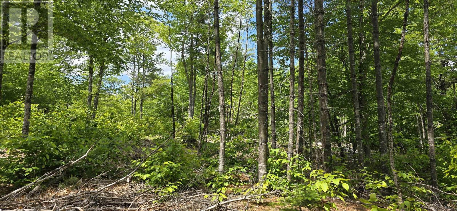 Lot 24-4 East Clifford Road, East Clifford, Nova Scotia  B4V 7R8 - Photo 16 - 202513799