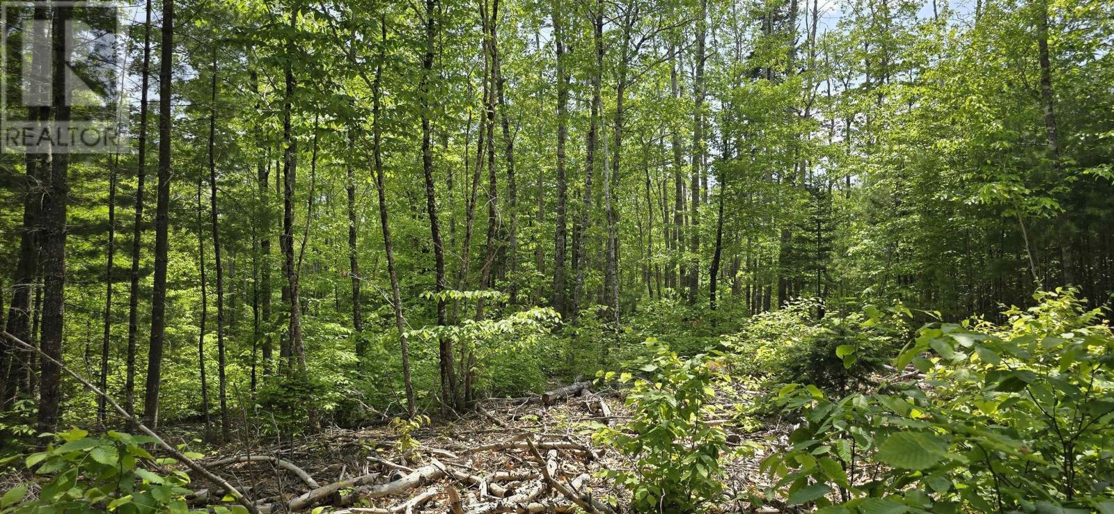 Lot 24-4 East Clifford Road, East Clifford, Nova Scotia  B4V 7R8 - Photo 18 - 202513799