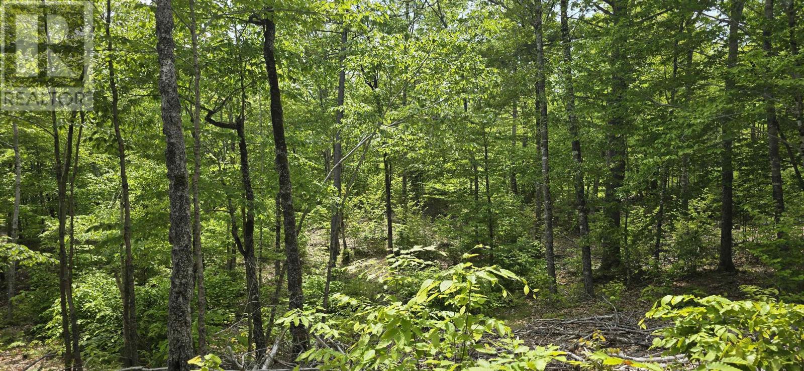 Lot 24-4 East Clifford Road, East Clifford, Nova Scotia  B4V 7R8 - Photo 20 - 202513799