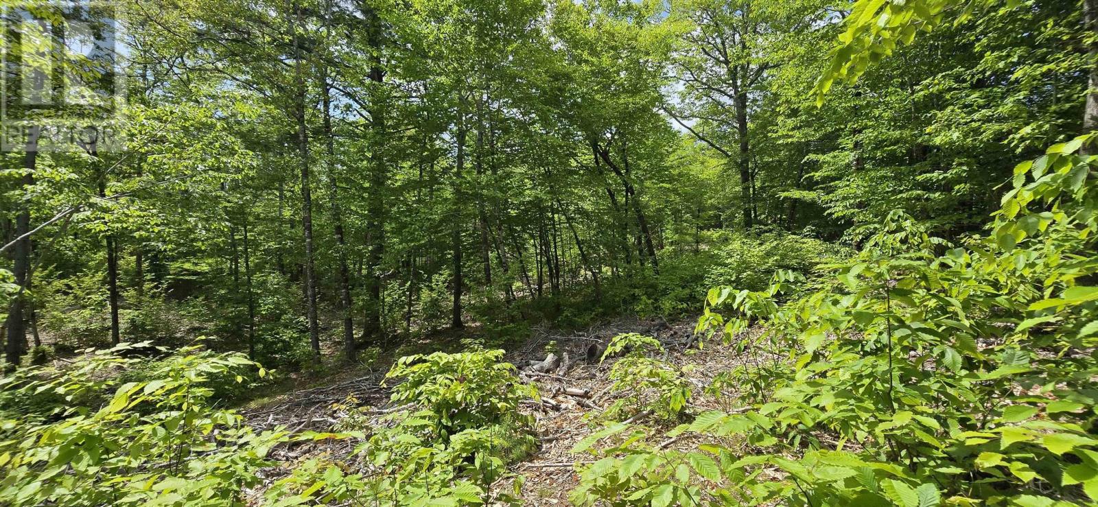 Lot 24-4 East Clifford Road, East Clifford, Nova Scotia  B4V 7R8 - Photo 22 - 202513799