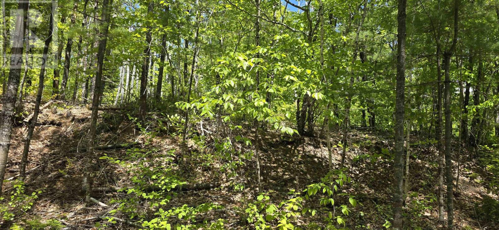 Lot 24-4 East Clifford Road, East Clifford, Nova Scotia  B4V 7R8 - Photo 23 - 202513799