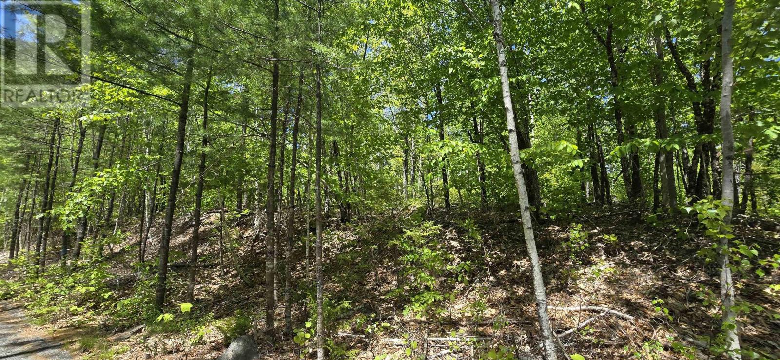 Lot 24-4 East Clifford Road, East Clifford, Nova Scotia  B4V 7R8 - Photo 25 - 202513799