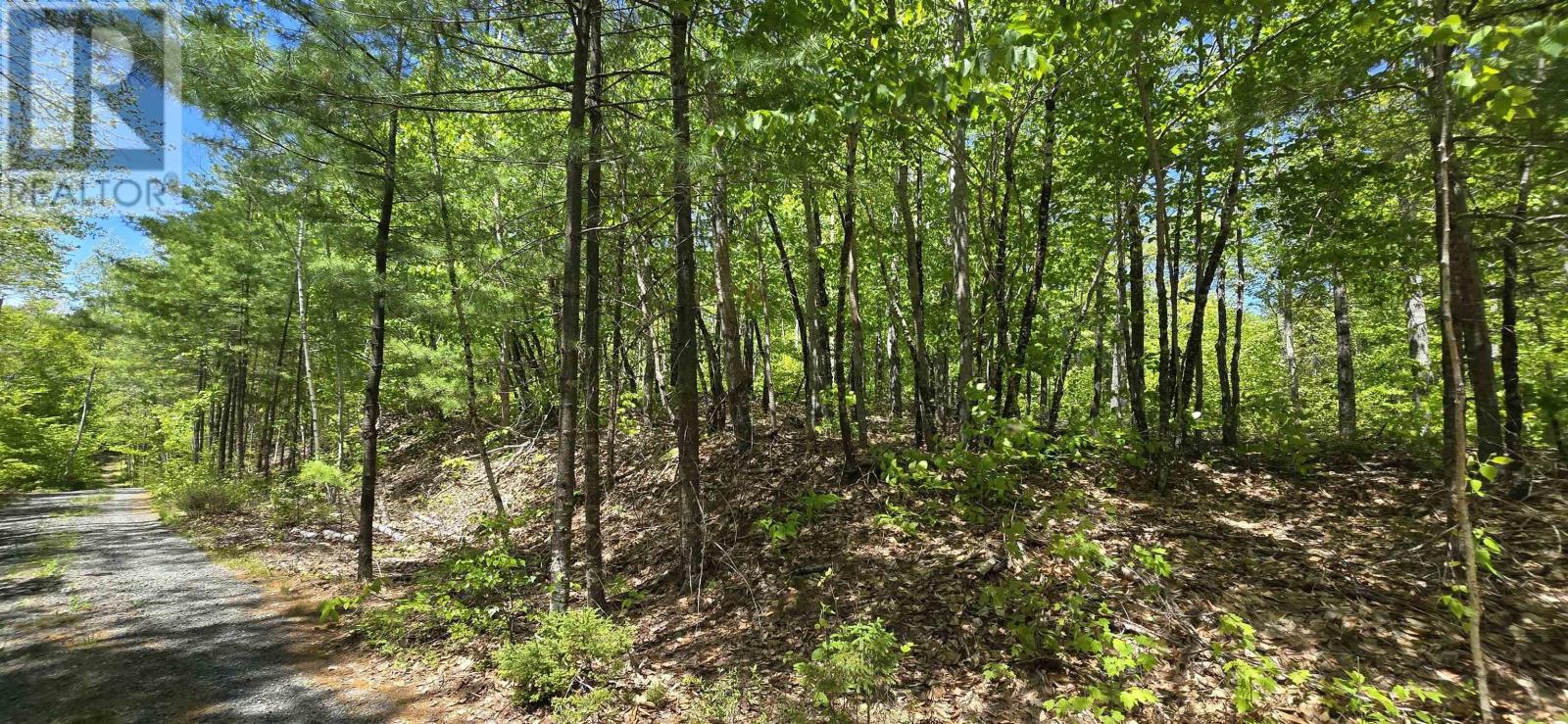 Lot 24-4 East Clifford Road, East Clifford, Nova Scotia  B4V 7R8 - Photo 27 - 202513799