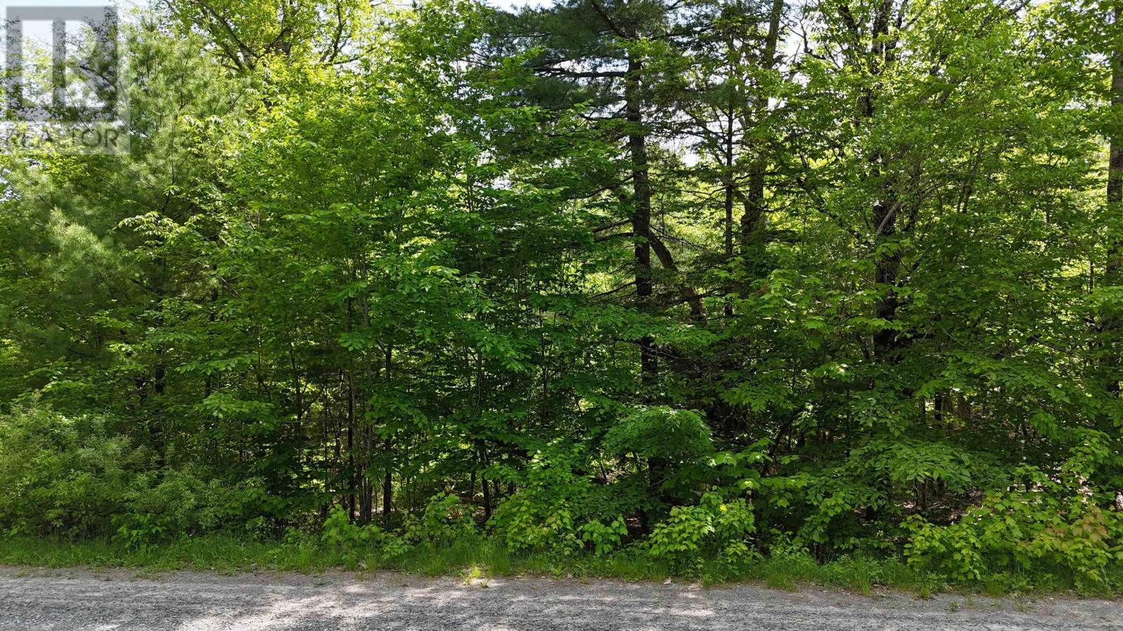 Lot 24-4 East Clifford Road, East Clifford, Nova Scotia  B4V 7R8 - Photo 30 - 202513799