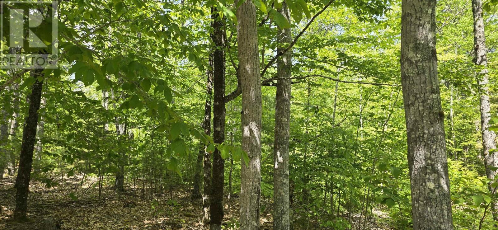 Lot 24-4 East Clifford Road, East Clifford, Nova Scotia  B4V 7R8 - Photo 9 - 202513799