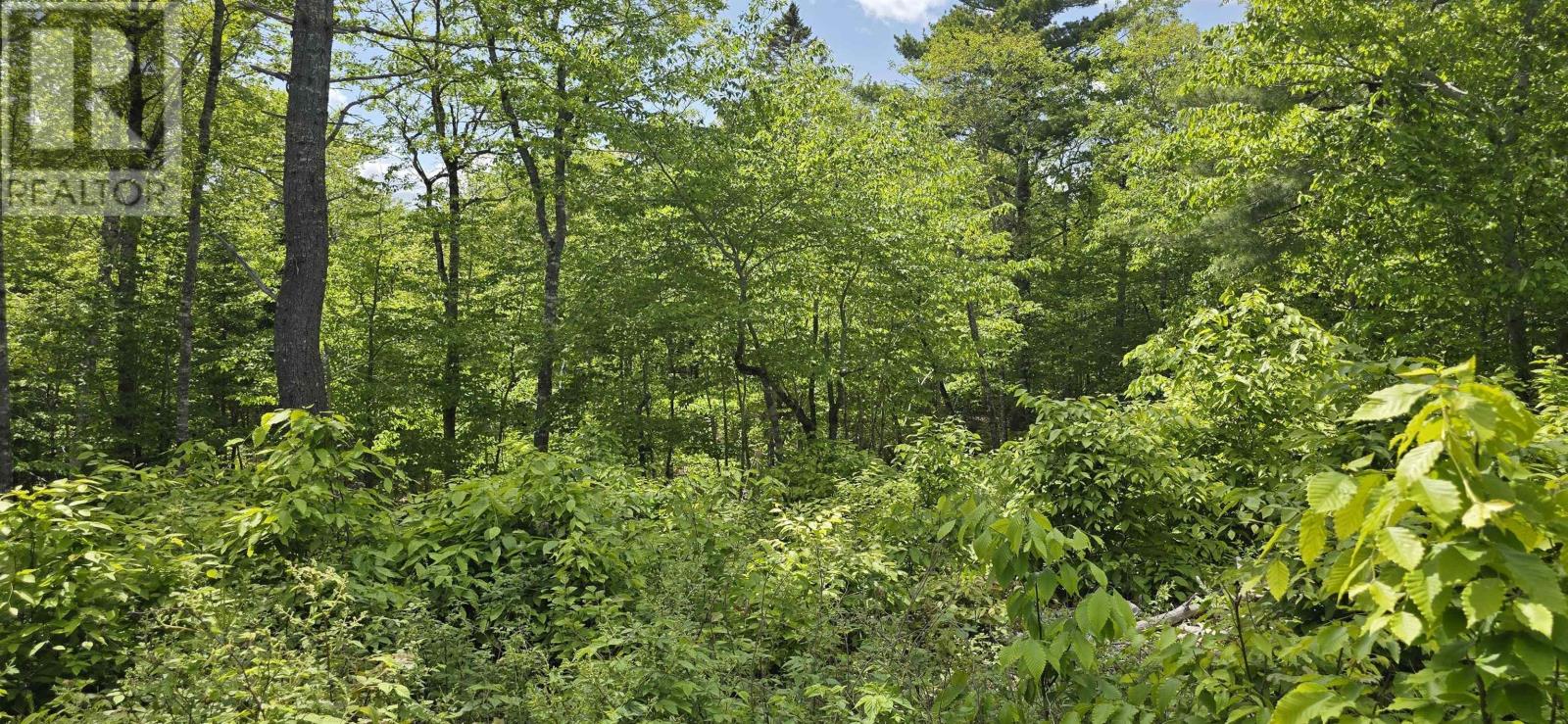 Lot 24-5 East Clifford Road, East Clifford, Nova Scotia  B4V 7R8 - Photo 10 - 202513802