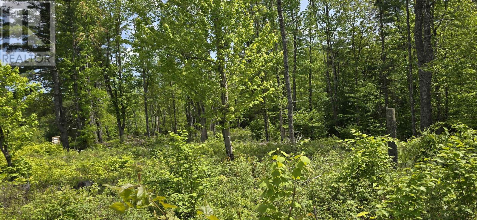 Lot 24-5 East Clifford Road, East Clifford, Nova Scotia  B4V 7R8 - Photo 12 - 202513802