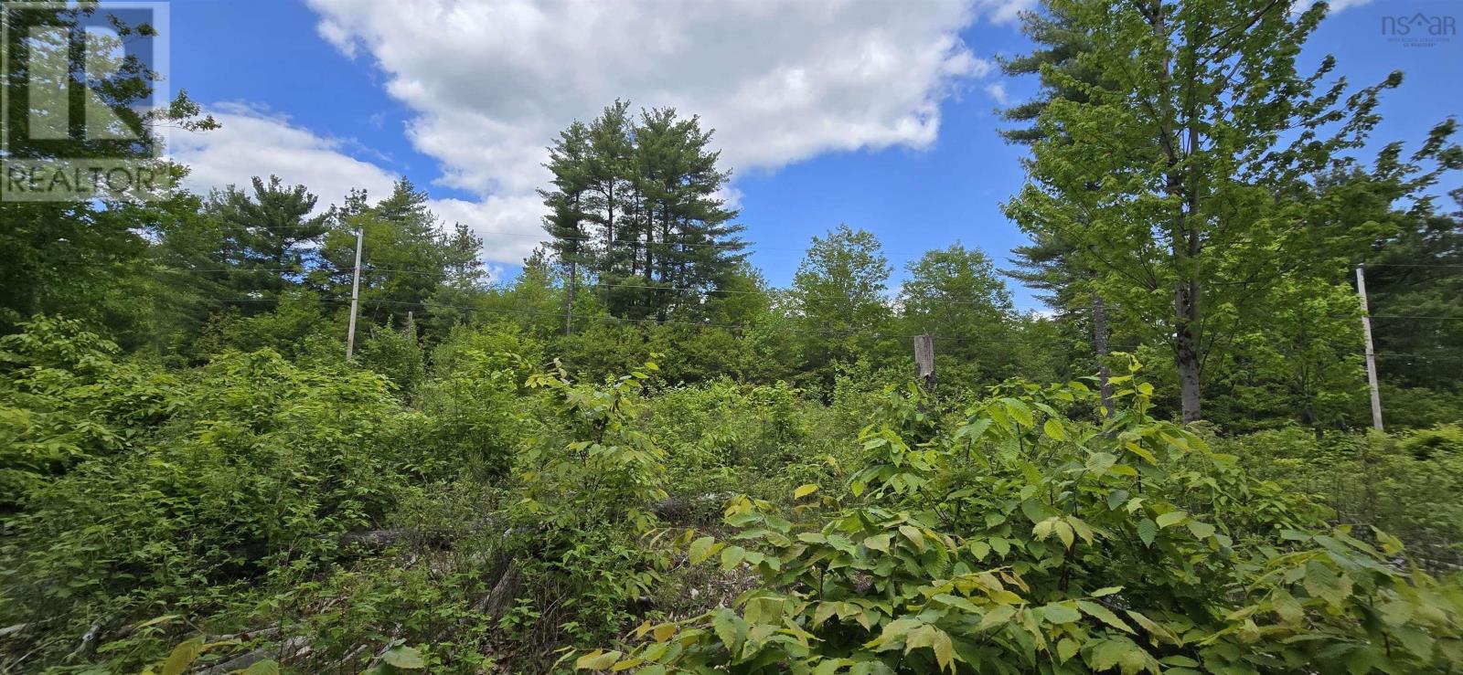 Lot 24-5 East Clifford Road, East Clifford, Nova Scotia  B4V 7R8 - Photo 15 - 202513802