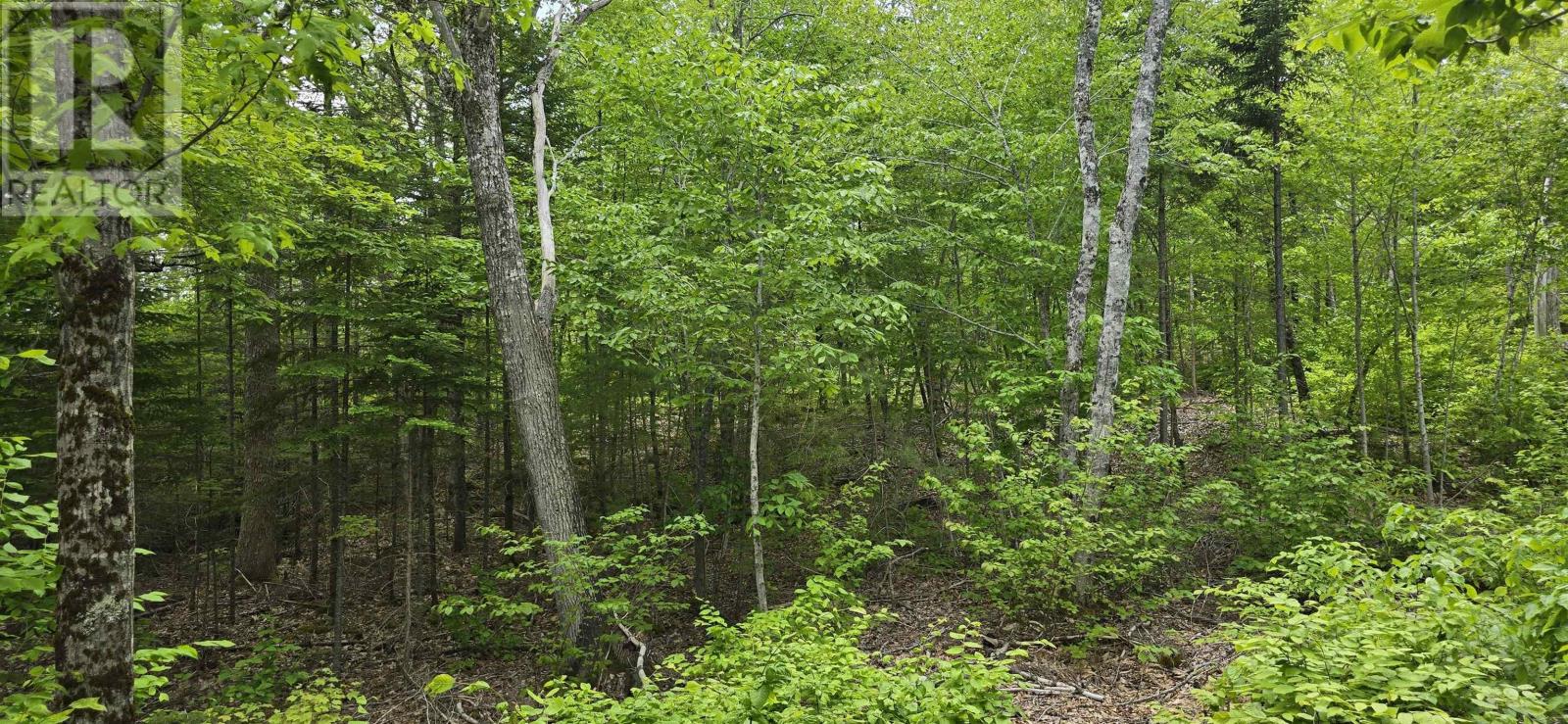 Lot 24-5 East Clifford Road, East Clifford, Nova Scotia  B4V 7R8 - Photo 16 - 202513802