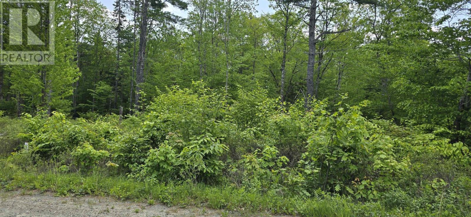 Lot 24-5 East Clifford Road, East Clifford, Nova Scotia  B4V 7R8 - Photo 20 - 202513802