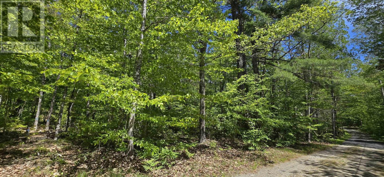 Lot 24-5 East Clifford Road, East Clifford, Nova Scotia  B4V 7R8 - Photo 23 - 202513802