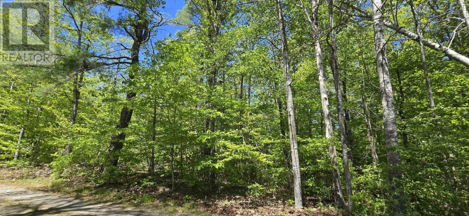 Lot 24-5 East Clifford Road, East Clifford, Nova Scotia  B4V 7R8 - Photo 26 - 202513802