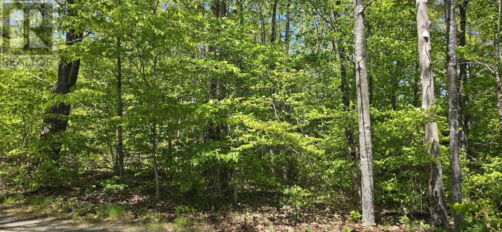 Lot 24-5 East Clifford Road, East Clifford, Nova Scotia  B4V 7R8 - Photo 27 - 202513802