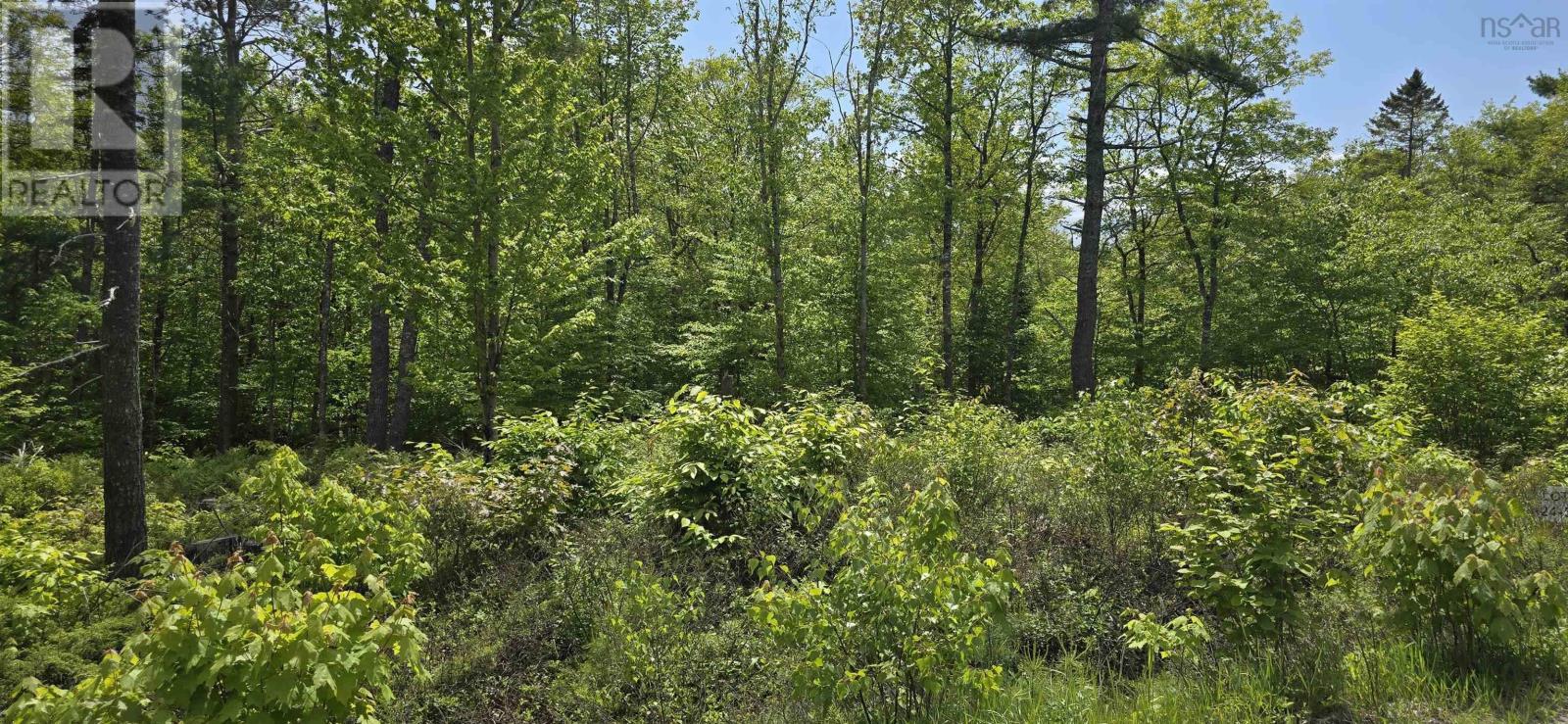 Lot 24-5 East Clifford Road, East Clifford, Nova Scotia  B4V 7R8 - Photo 6 - 202513802