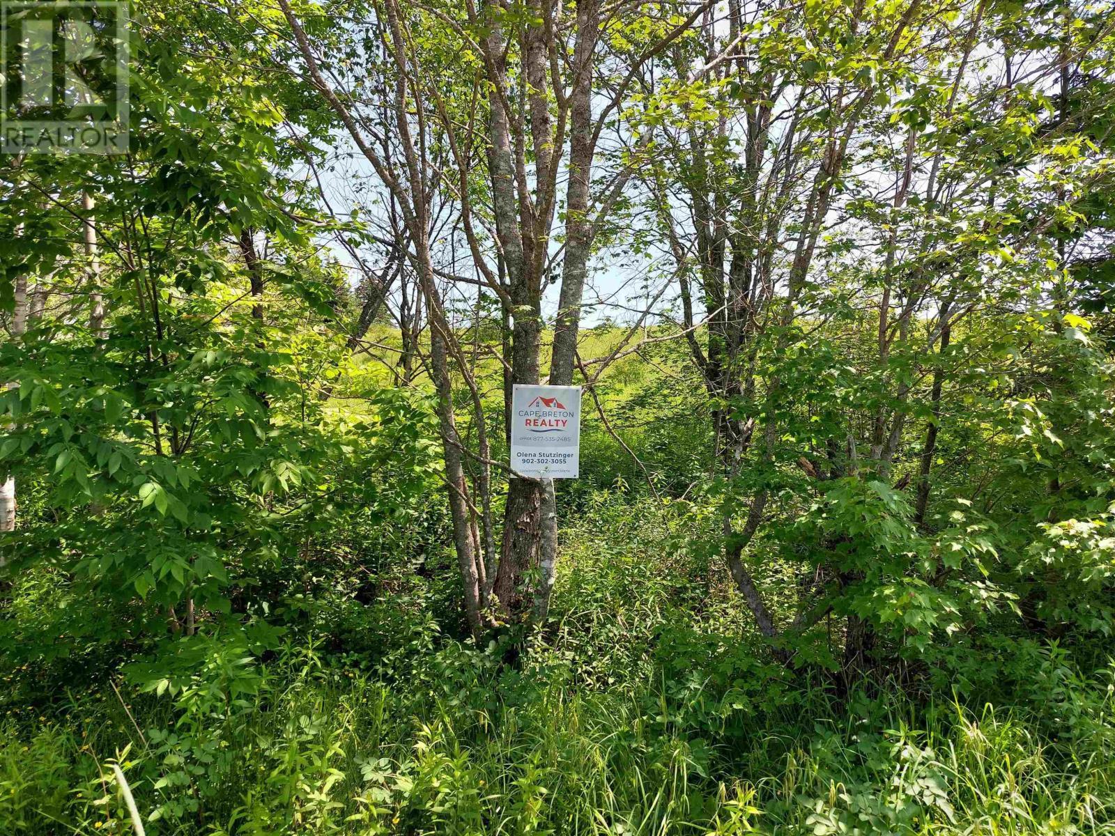 Lot 4 Grand Mira Rd S, Grand Mira South, Nova Scotia  B1K 1H2 - Photo 5 - 202513821