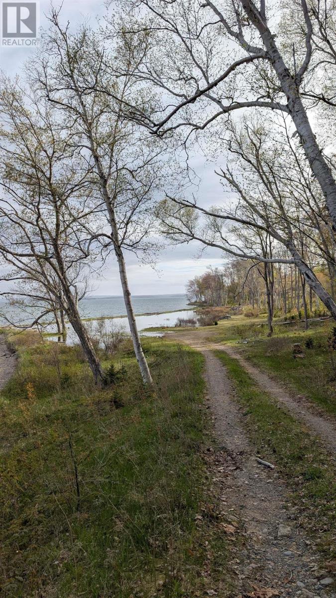 Marble Mountain Road, Lime Hill, Nova Scotia  B0E 3K0 - Photo 11 - 202513838