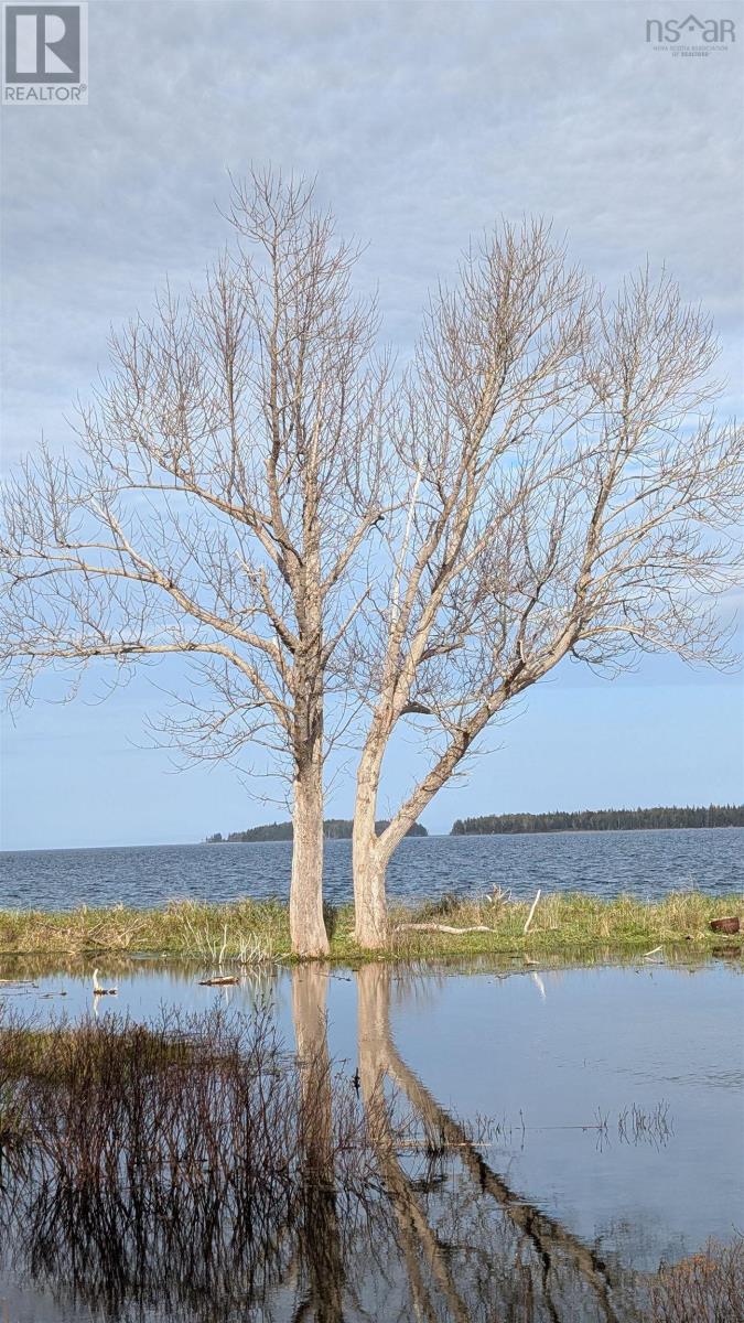 Marble Mountain Road, Lime Hill, Nova Scotia  B0E 3K0 - Photo 15 - 202513838