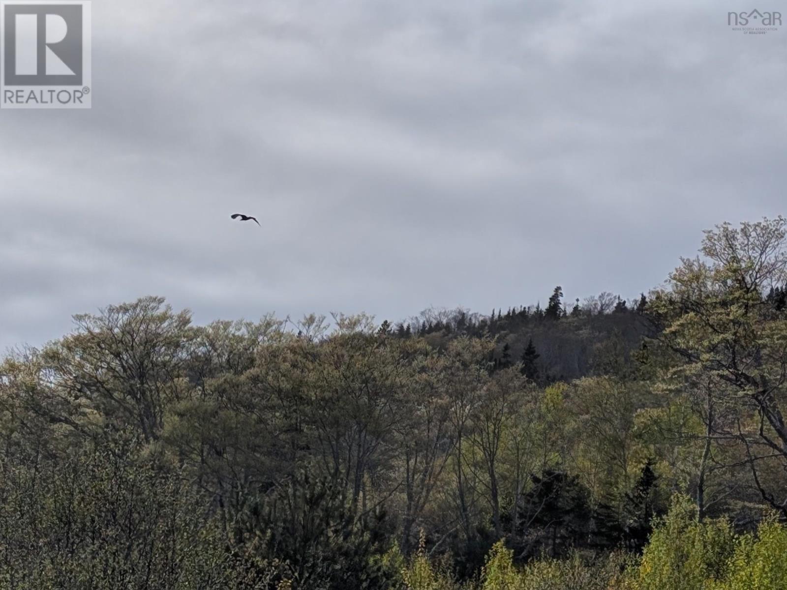Marble Mountain Road, Lime Hill, Nova Scotia  B0E 3K0 - Photo 22 - 202513838