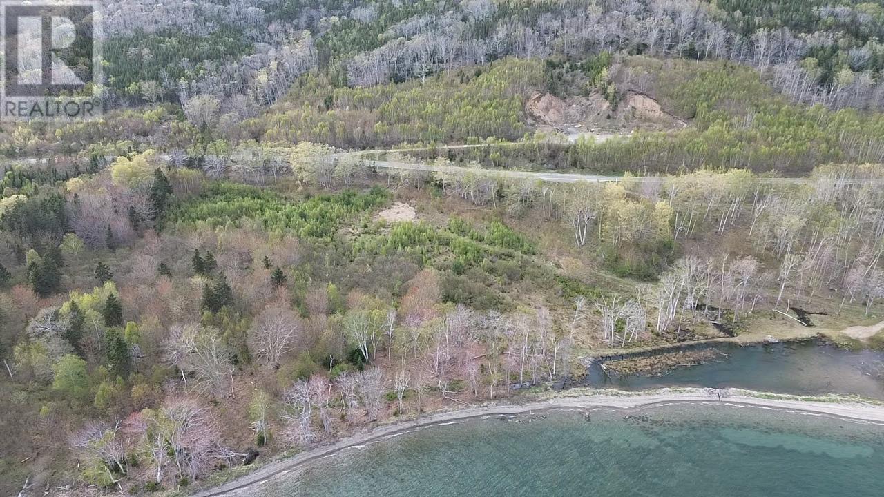 Marble Mountain Road, Lime Hill, Nova Scotia  B0E 3K0 - Photo 4 - 202513838