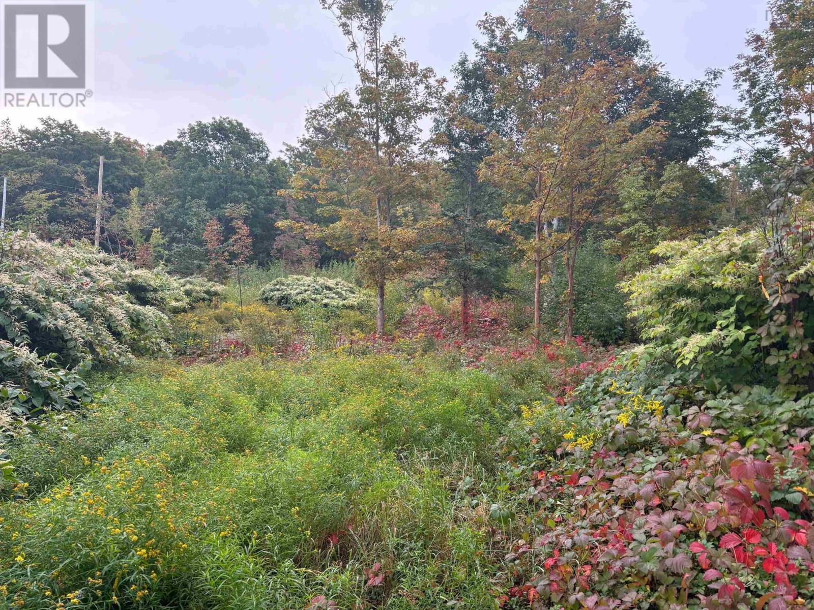 Lot Sunset Drive, Smiths Cove, Nova Scotia  B0S 1S0 - Photo 9 - 202514084