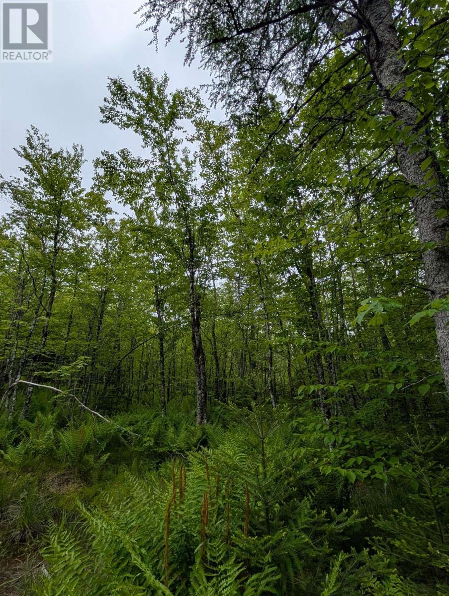 CM2J Lot CM2J Mackenzie Lane, mount uniacke, Nova Scotia