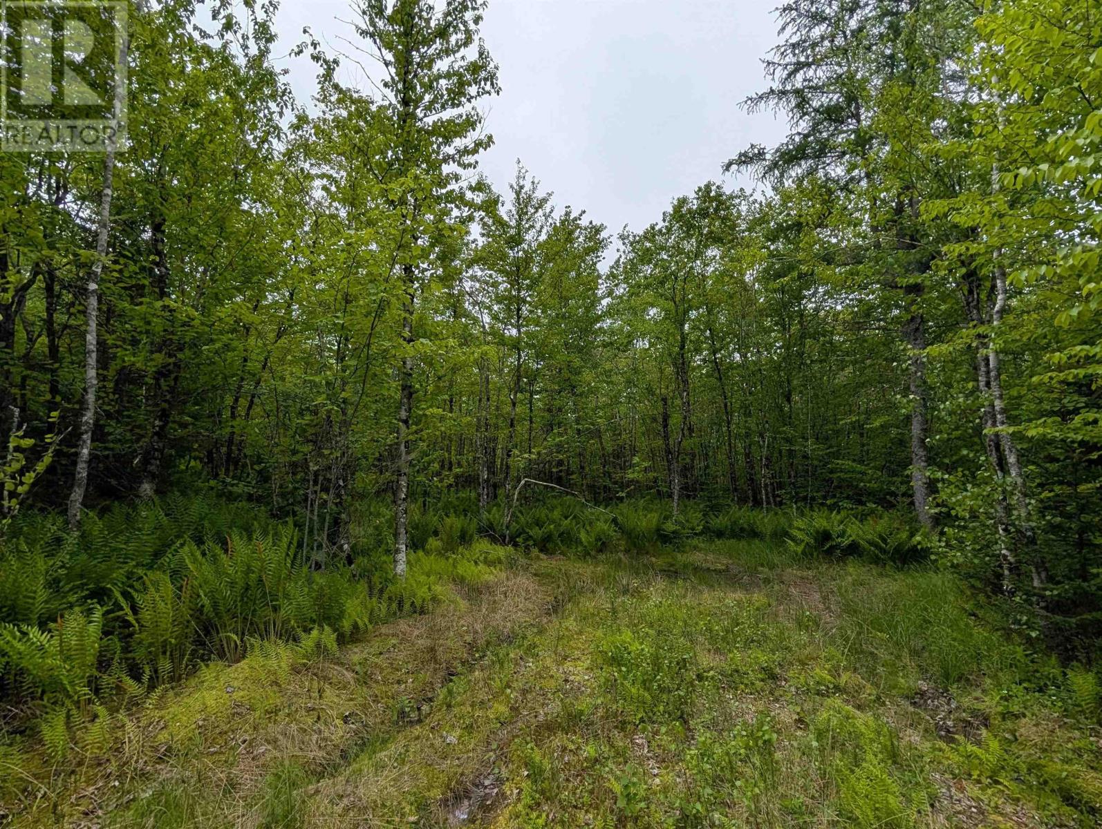 Cm2j Lot Cm2j Mackenzie Lane, Mount Uniacke, Nova Scotia  B0N 1Z0 - Photo 2 - 202514136