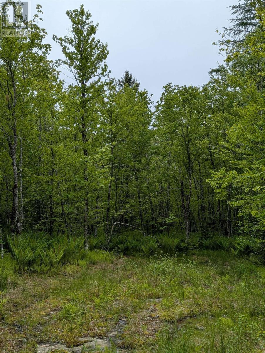 Cm2j Lot Cm2j Mackenzie Lane, Mount Uniacke, Nova Scotia  B0N 1Z0 - Photo 3 - 202514136