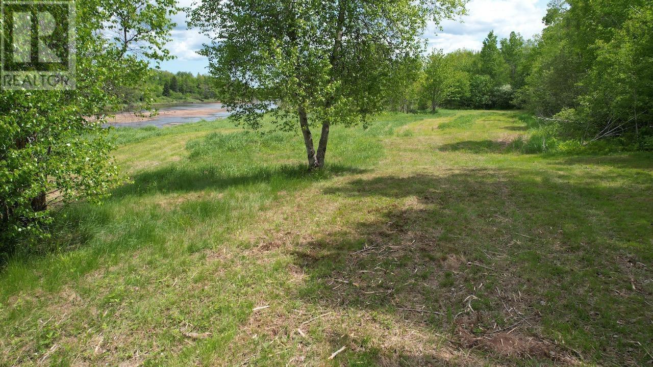 6327 Hwy 321 Highway, Roslin, Nova Scotia  B0M 1P0 - Photo 17 - 202514153