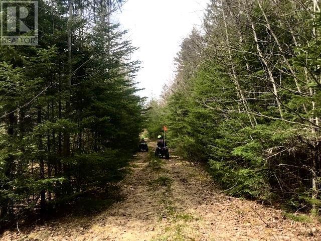 2925 Highway 203, East Kemptville, Nova Scotia  B5A 5P5 - Photo 21 - 202514276