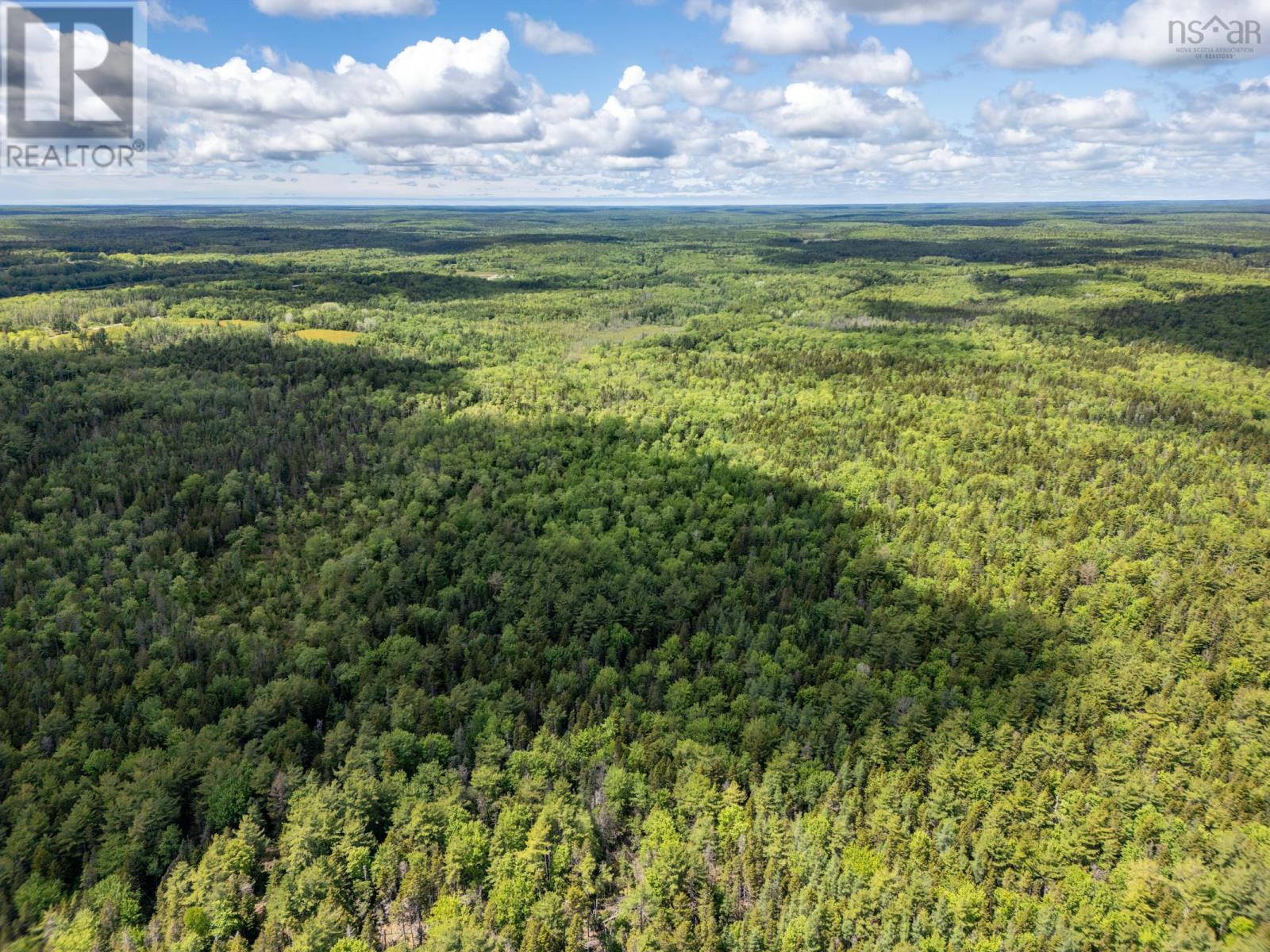 2925 Highway 203, East Kemptville, Nova Scotia  B5A 5P5 - Photo 3 - 202514276