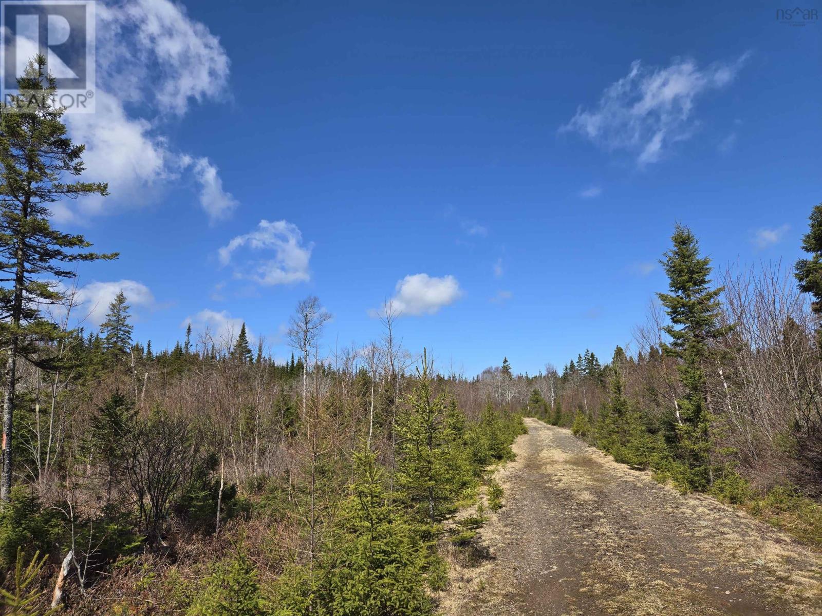 Lot 12, 13, 14 Hill Street, French Cove, Nova Scotia  B0E 3B0 - Photo 16 - 202514303