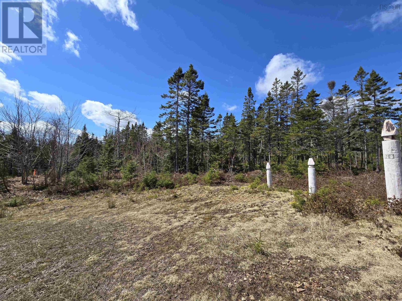 Lot 14 Hill Street, French Cove, Nova Scotia  B0E 3B0 - Photo 17 - 202514307