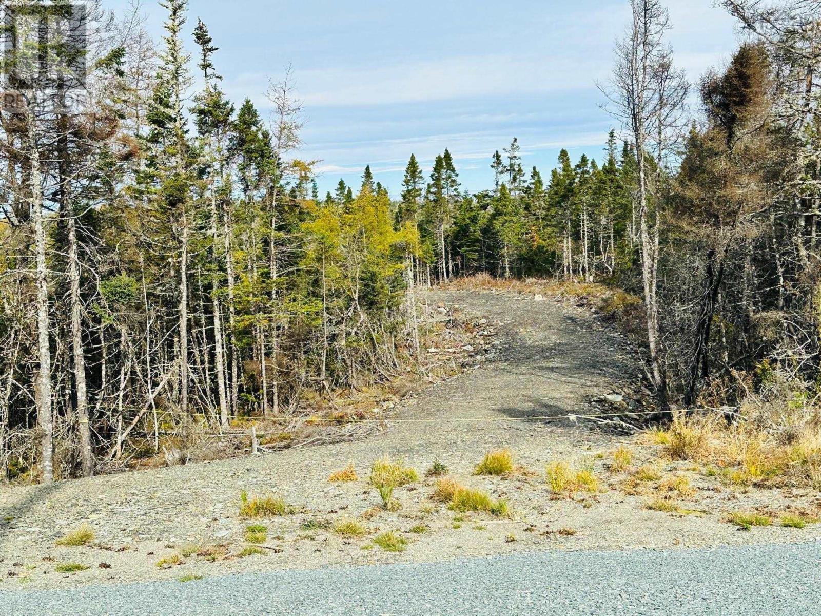 Lot 09-4 West Liscomb Point Road, West Liscomb, Nova Scotia  B0J 2A0 - Photo 21 - 202514387