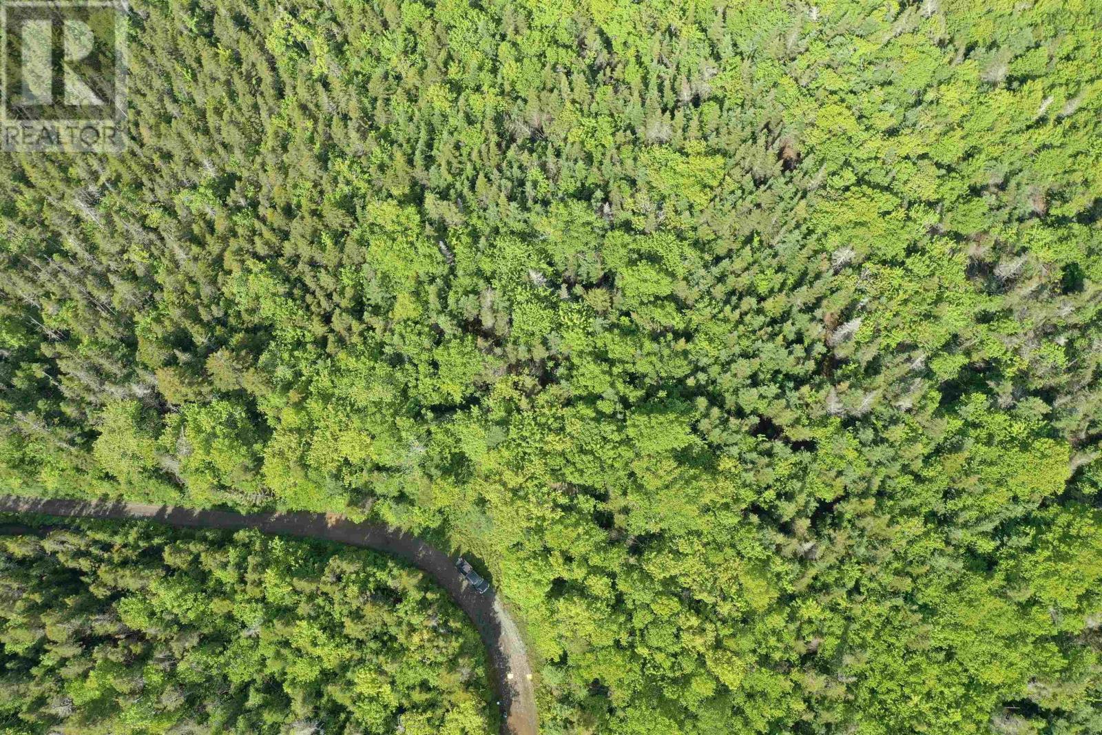 Grant 16738 Moser River North Road, moser river, Nova Scotia