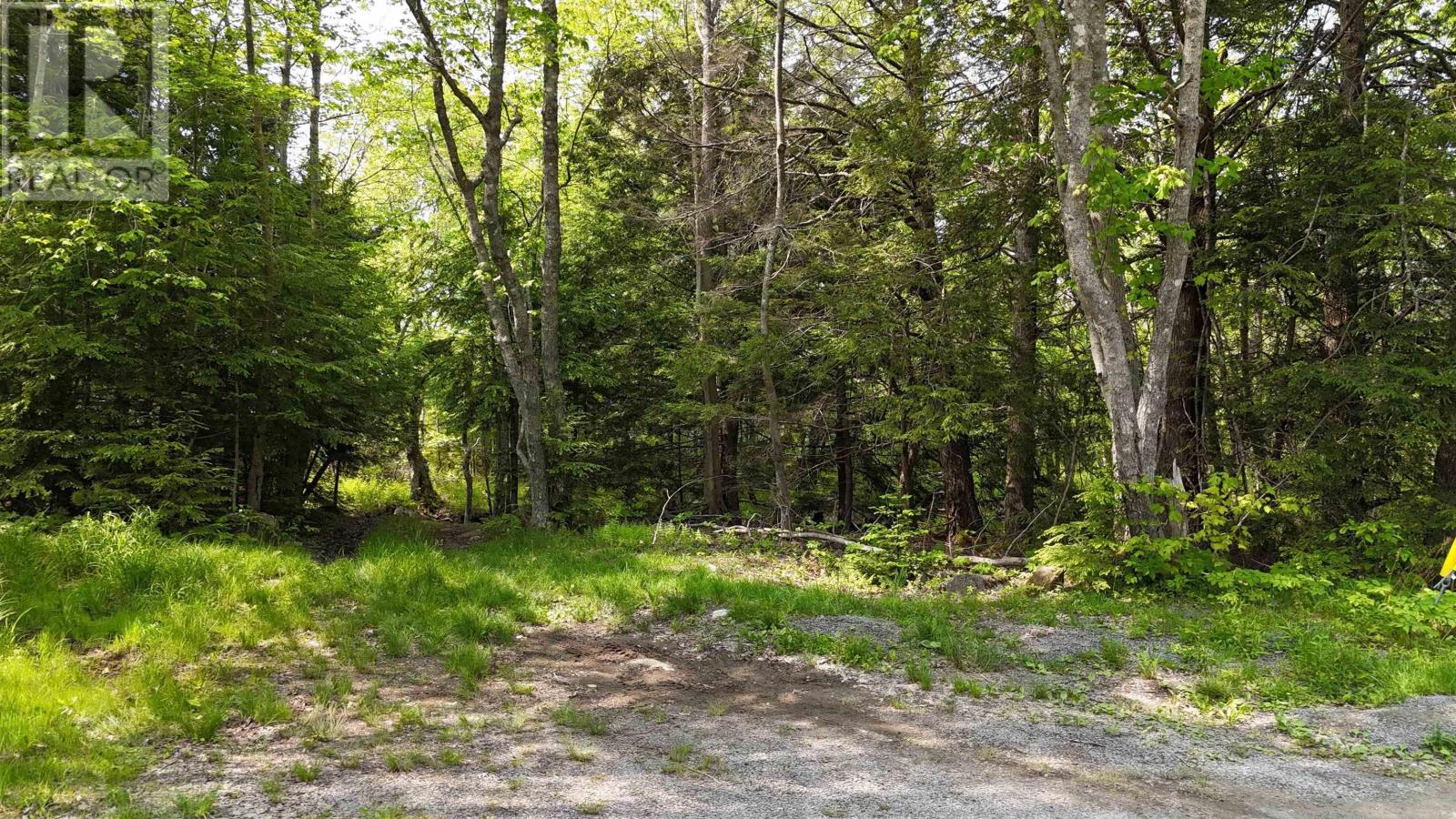 Lot Nathan Croft Road, Camperdown, Nova Scotia  B4V 6T9 - Photo 17 - 202514609