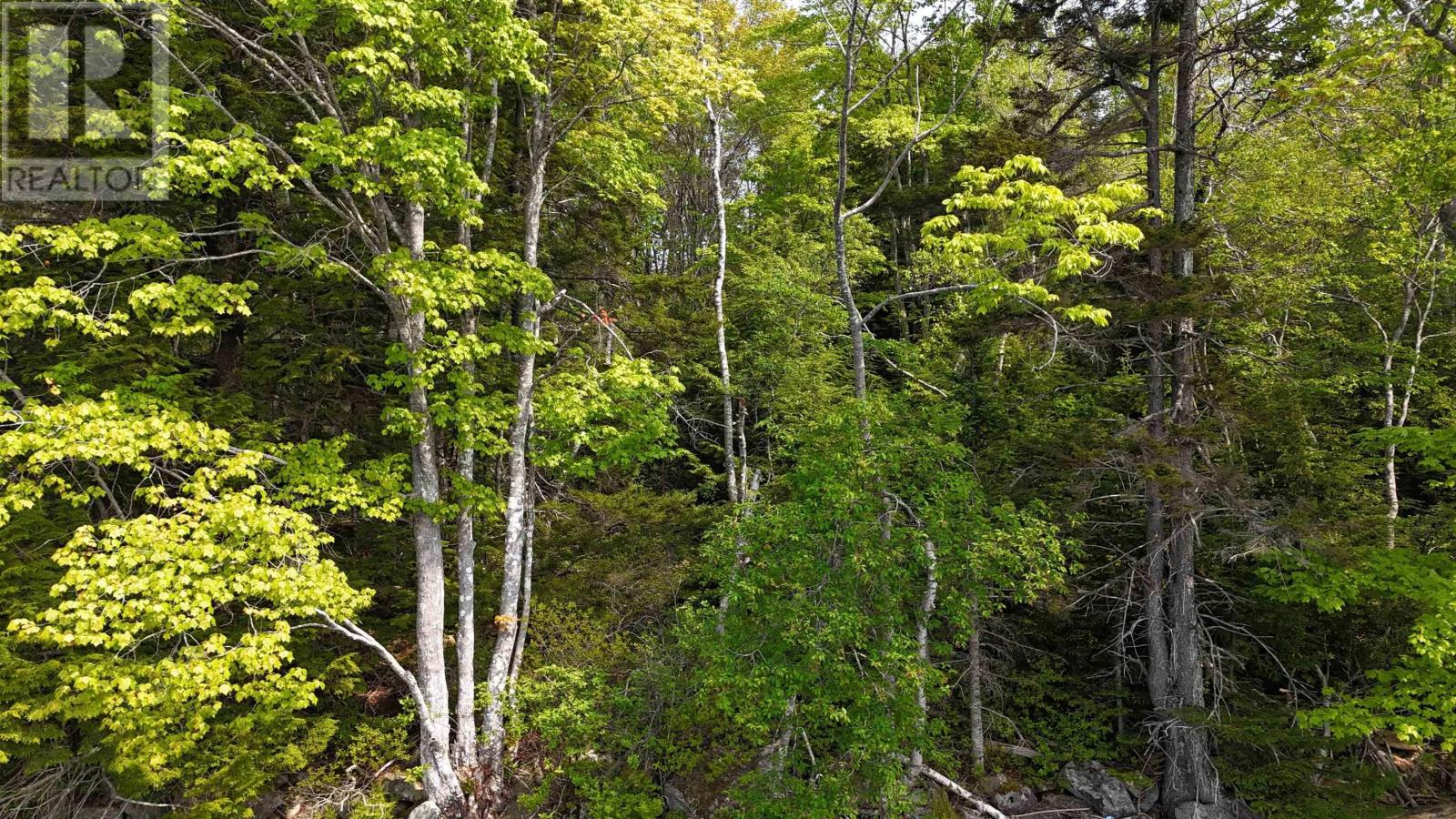 Lot Nathan Croft Road, Camperdown, Nova Scotia  B4V 6T9 - Photo 23 - 202514609